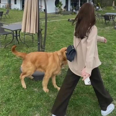 天赐的声音第五季海报