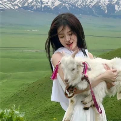 白色毒网海报